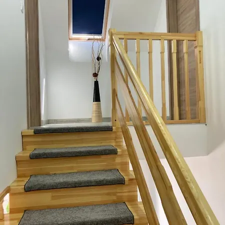 Platan Panzio Csongrád