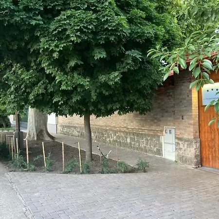 Platan Panzio Чонград