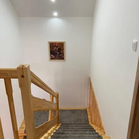 Platan Panzio Csongrád