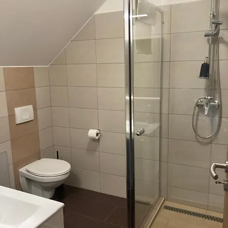 Platan Panzio 3* Csongrád