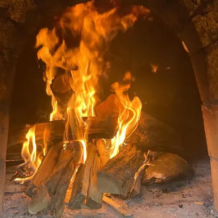 Platan Panzio Frühstückspension Csongrád