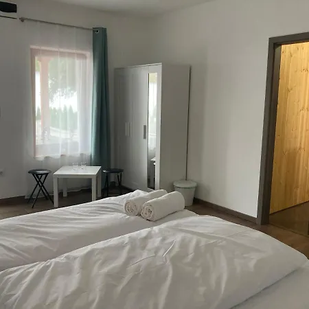 Platan Panzio Csongrád