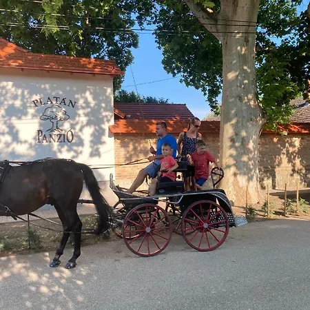 Bed & Breakfast Platan Panzio Csongrád