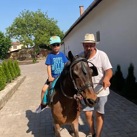 Bed & Breakfast Platan Panzio Csongrád