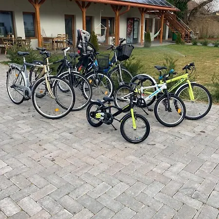 Platan Panzio Csongrád