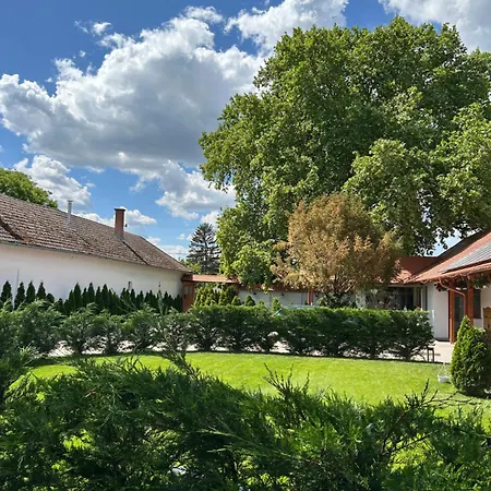 Platan Panzio Bed & Breakfast Csongrád