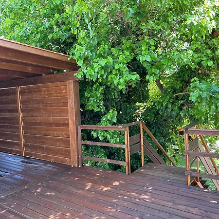 Platan Panzio 3* Csongrád