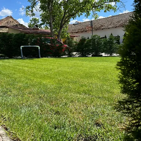 Platan Panzio 3*