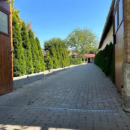 Platan Panzio