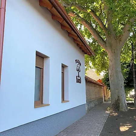 Platan Panzio 3* Csongrád