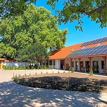 Platan Panzio Bed & Breakfast