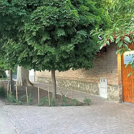 Platan Panzio Bed & Breakfast 3*
