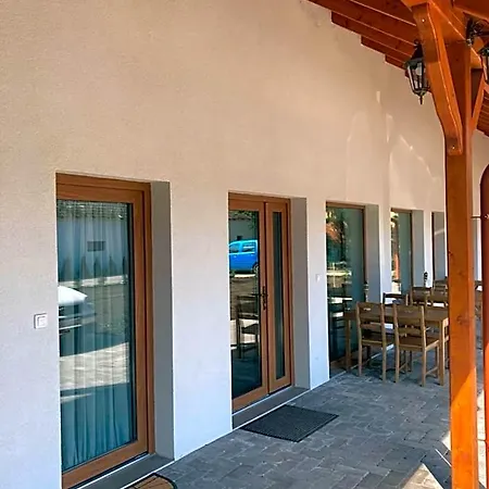 Platan Panzio