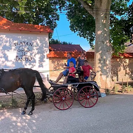Platan Panzio 3* Чонград