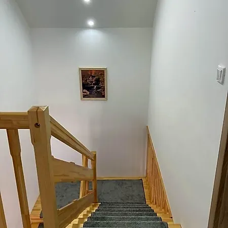 Platan Panzio 3* Чонград