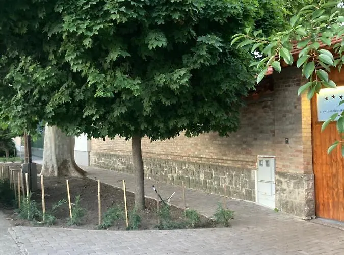 Platán Panzió Csongrád