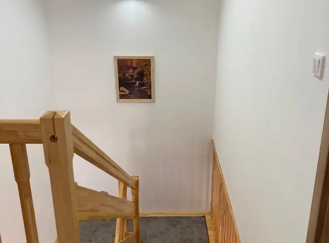 Platán Panzió Csongrád
