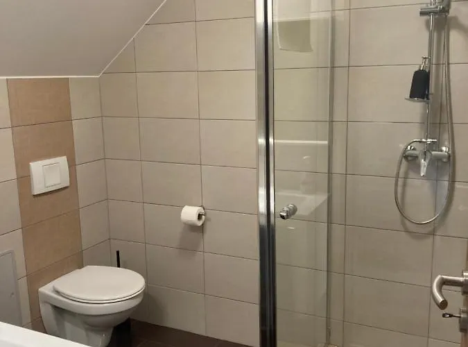 Platan Panzio 3* Csongrád