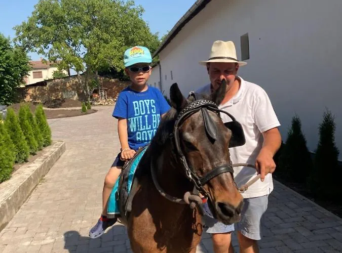 Alojamento de Acomodação e Pequeno-almoço Platán Panzió Csongrád