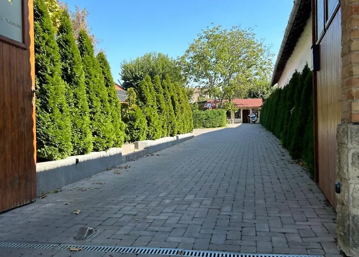 Platan Panzio